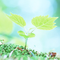 視力回復 徳永式「立体視ではだめ」な理由